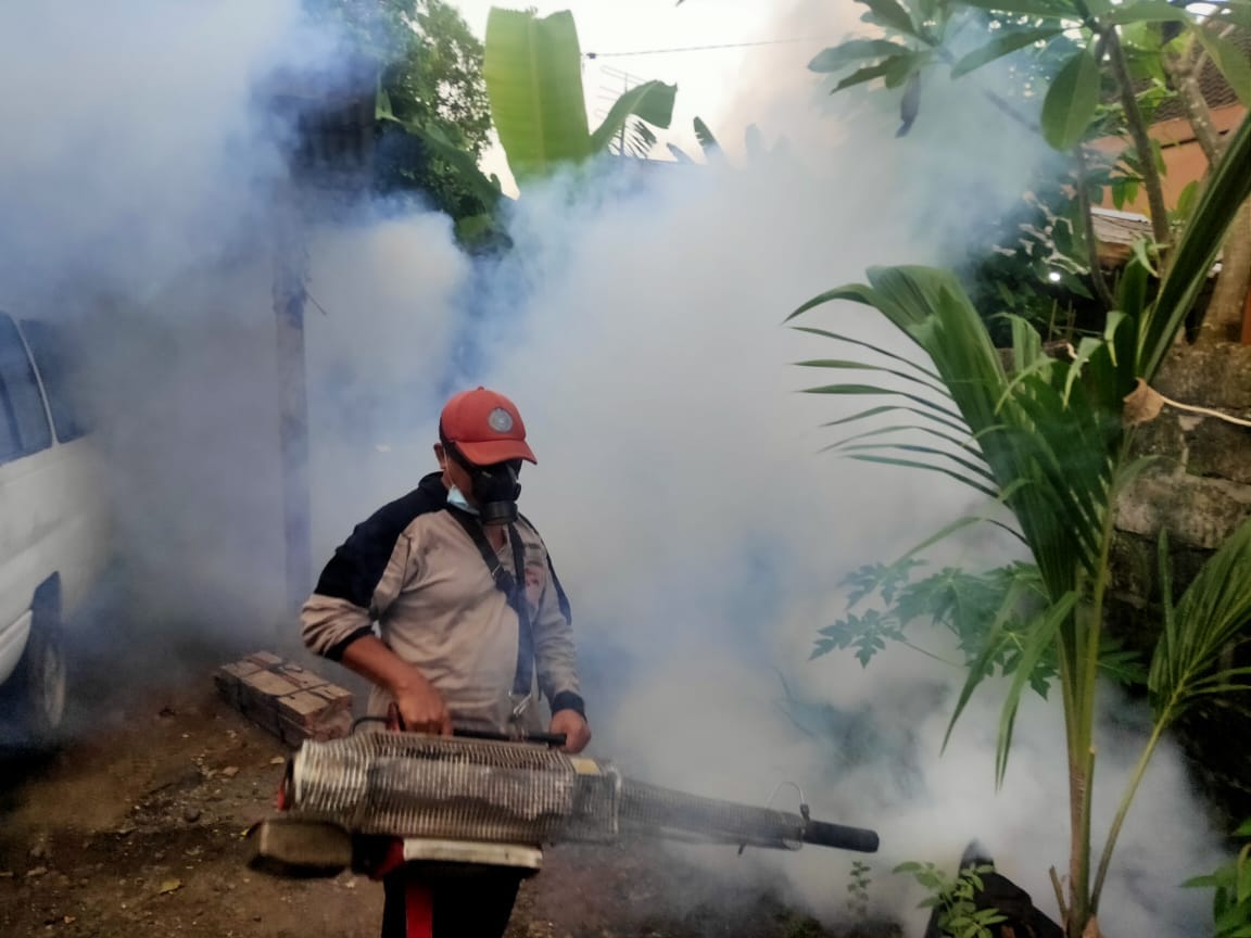 Pelaksanaan Fogging di Lingkungan Kelurahan Ubung
